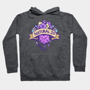 Natural 20 Hoodie